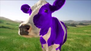 Purple cow graphic